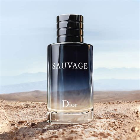 sauvage dior perfume notes